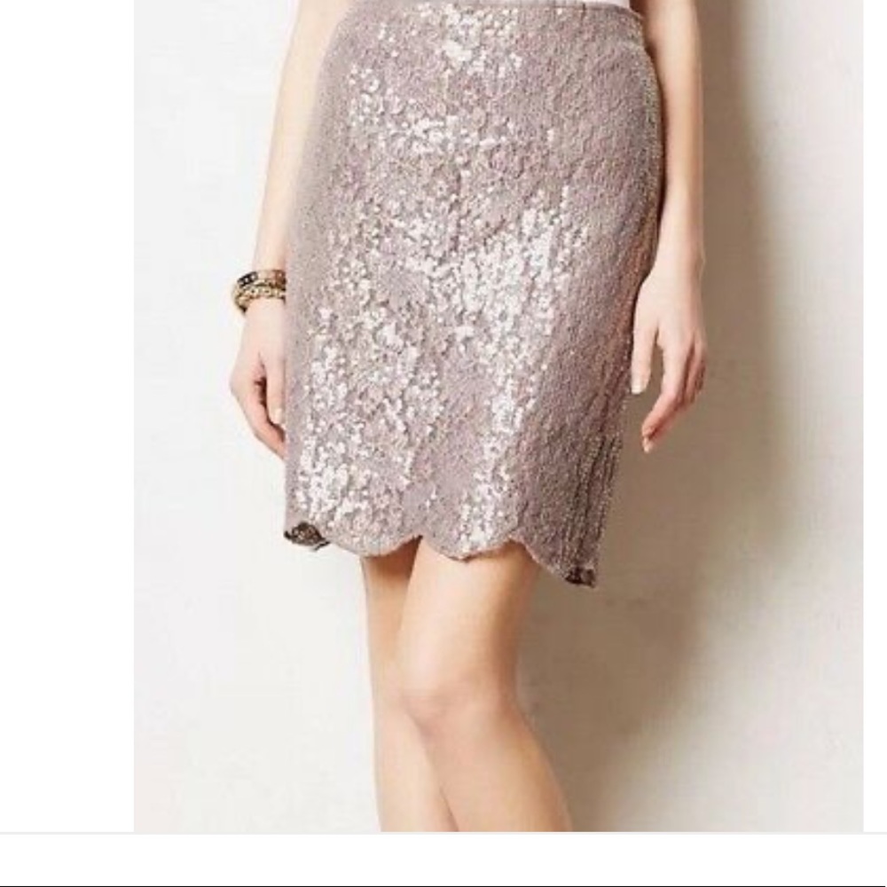 Baraschi for Anthropologie Sequin Lace Skirt